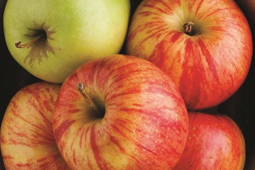 La Quinta Inn & Suites by Wyndham Brooklyn East image 43